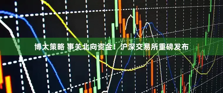 博大策略 事关北向资金！沪深交易所重磅发布