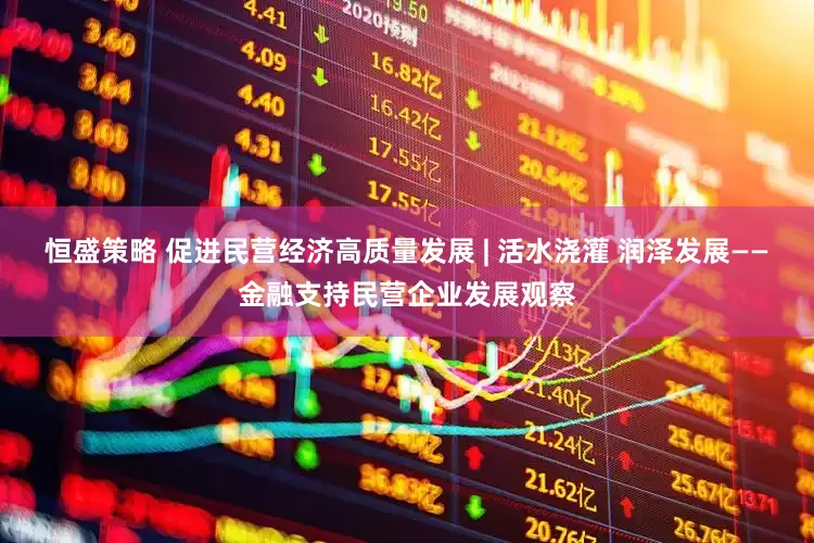 恒盛策略 促进民营经济高质量发展 | 活水浇灌 润泽发展——金融支持民营企业发展观察
